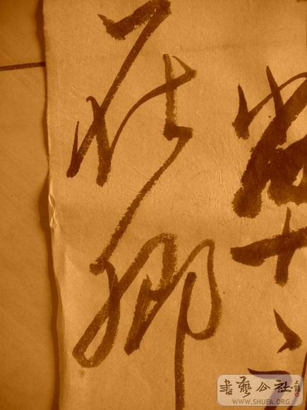 ������С IMG_5049.JPG