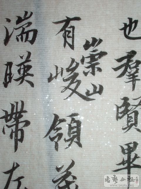 IMGP9830.JPG