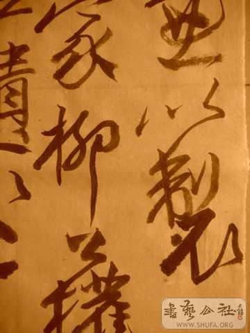 ������С IMG_5017.JPG