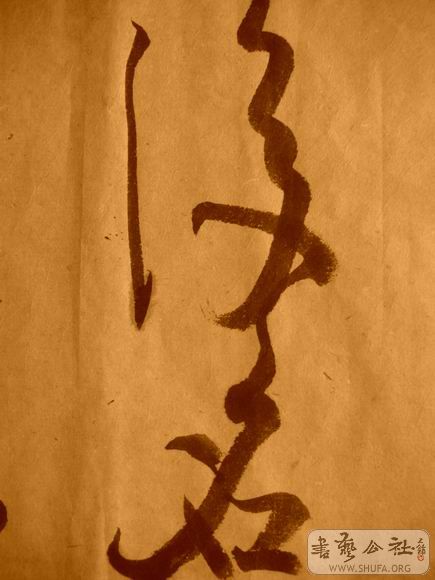 ������С IMG_5104.JPG