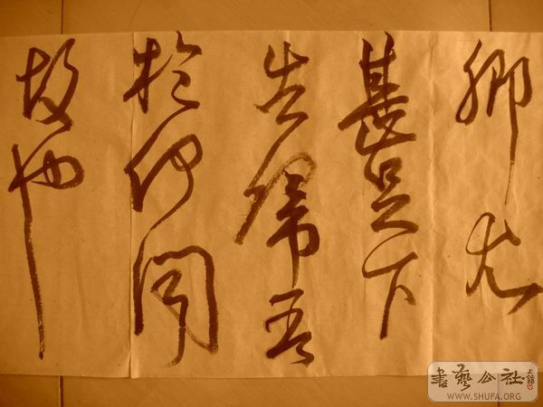 ������С IMG_5080.JPG