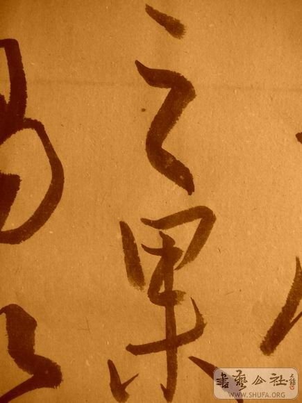 ������С IMG_5036.JPG