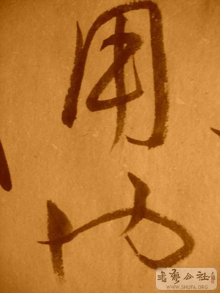 ������С IMG_5045.JPG