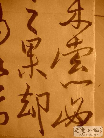 ������С IMG_5032.JPG