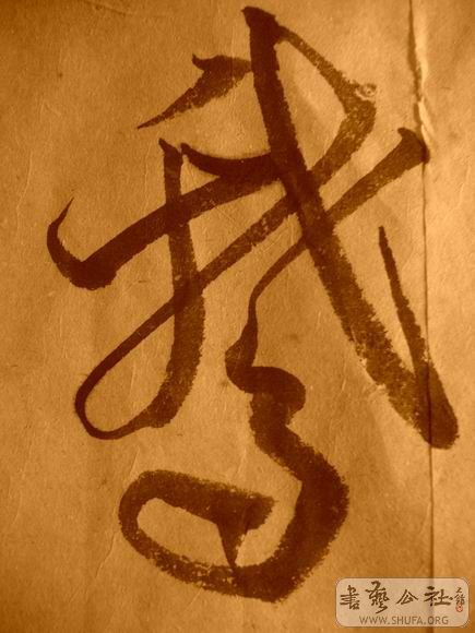 ������С IMG_5116.JPG