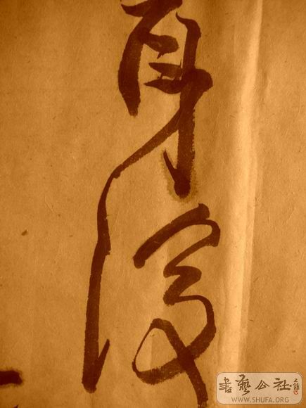 ������С IMG_5109.JPG