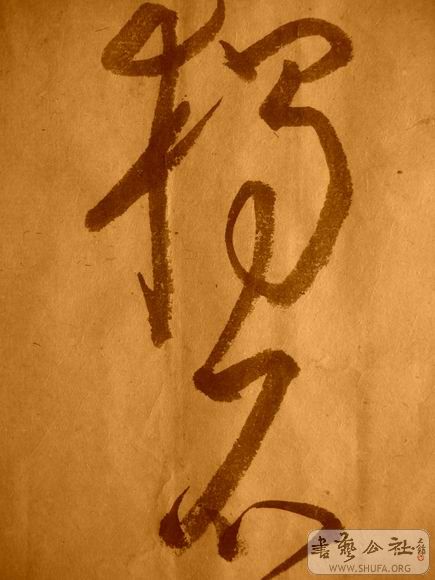 ������С IMG_5101.JPG