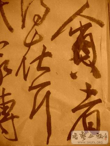 ������С IMG_5000.JPG