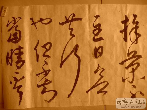 ������С IMG_5084.JPG