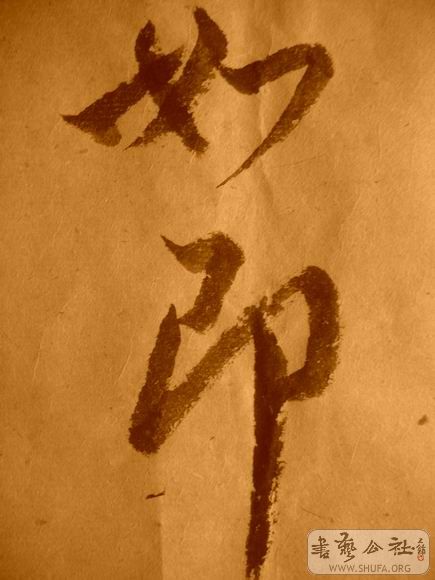 ������С IMG_5111.JPG