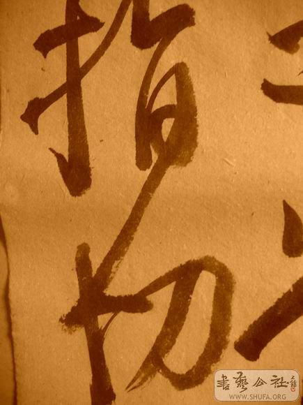 ������С IMG_5054.JPG