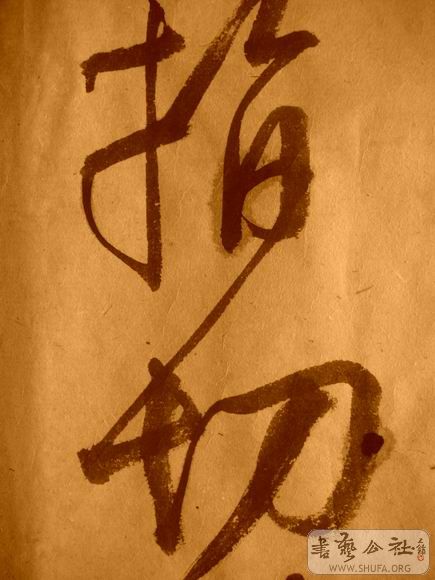 ������С IMG_5147.JPG