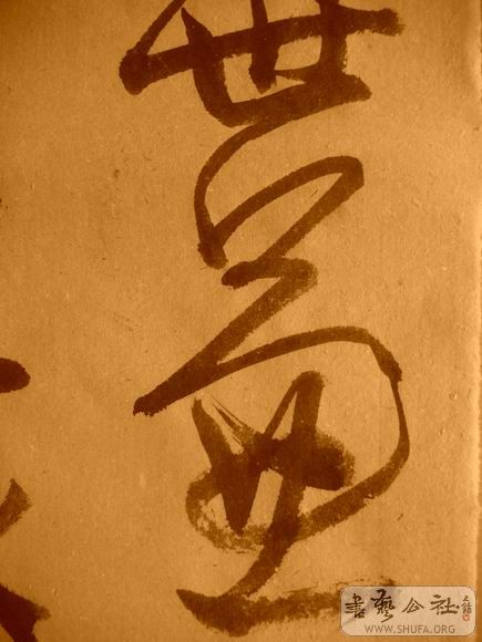 ������С IMG_5020.JPG