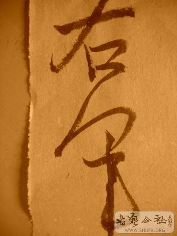 ������С IMG_5013.JPG