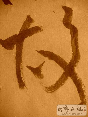 ������С IMG_5007.JPG