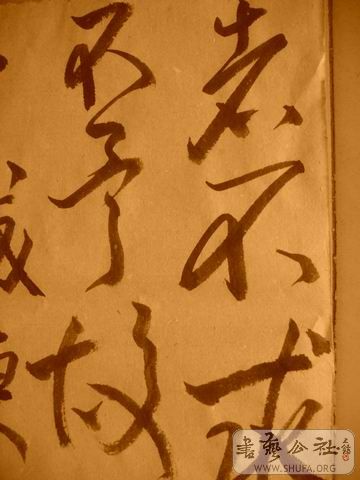 ������С IMG_4999.JPG