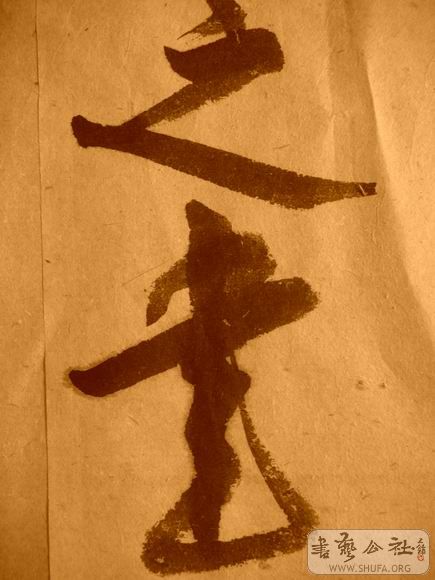 ������С IMG_5137.JPG