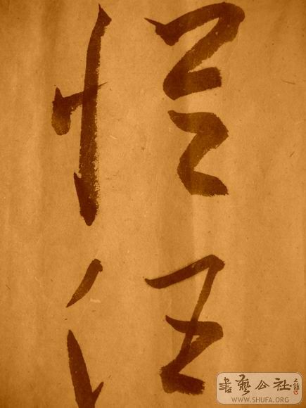 ������С IMG_5088.JPG