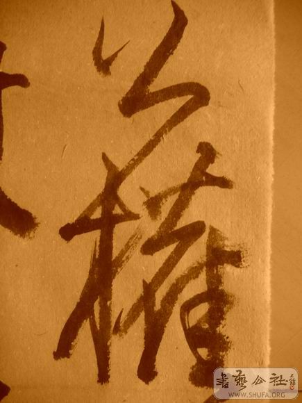 ������С IMG_5044.JPG