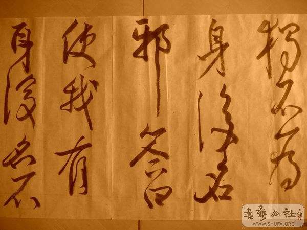 ������С IMG_5073.JPG