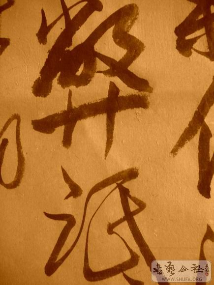 ������С IMG_5048.JPG