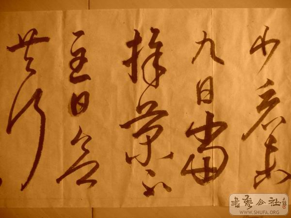 ������С IMG_5083.JPG