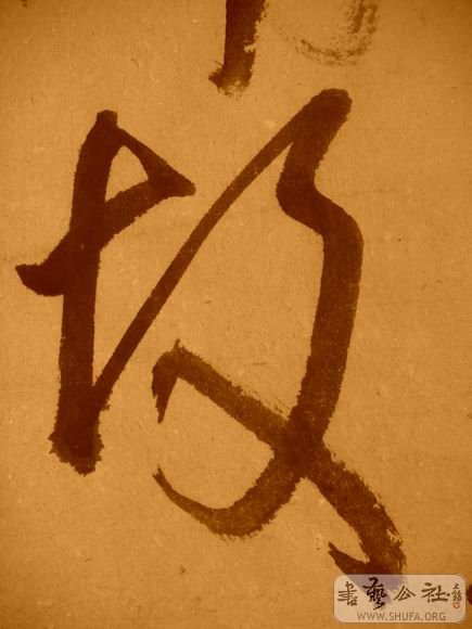 ������С IMG_5066.JPG