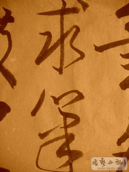 ������С IMG_5025.JPG