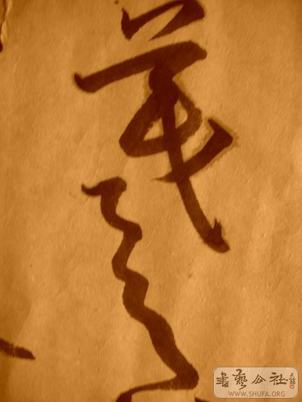 ������С IMG_5114.JPG