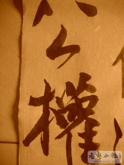 ������С IMG_5028.JPG