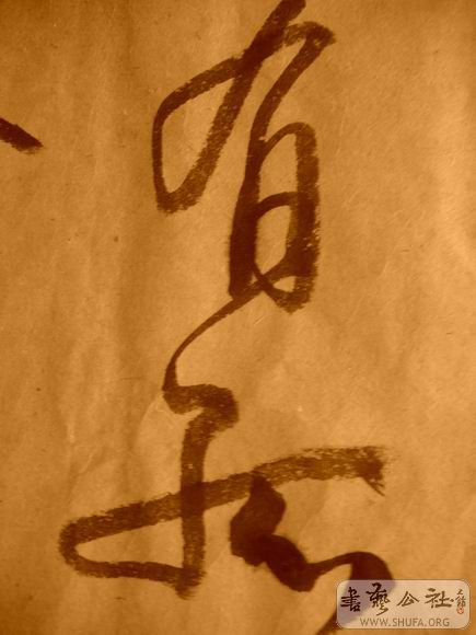 ������С IMG_5118.JPG