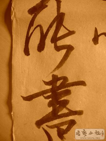 ������С IMG_5029.JPG