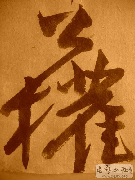 ������С IMG_5024.JPG