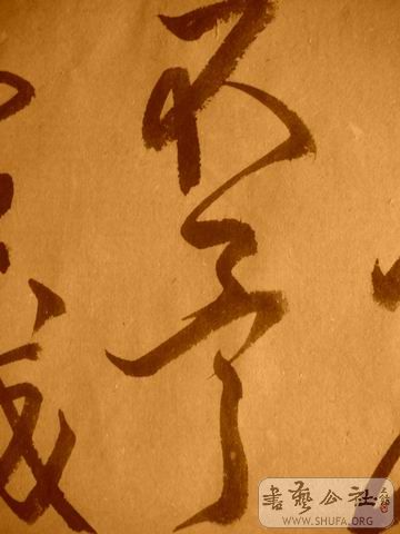 ������С IMG_5005.JPG