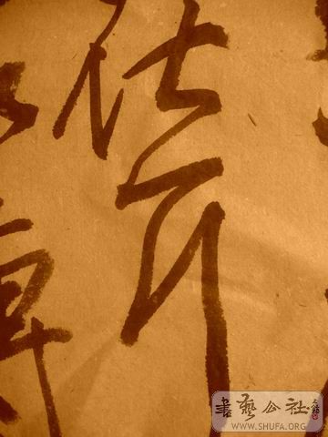 ������С IMG_5008.JPG