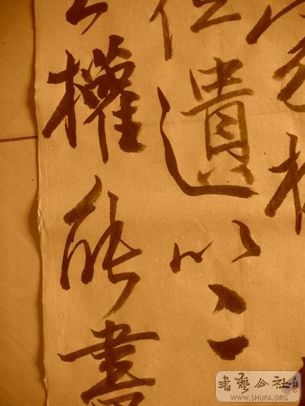 ������С IMG_5019.JPG