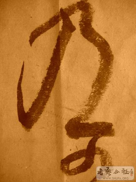 ������С IMG_5098.JPG