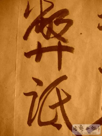 ������С IMG_5145.JPG