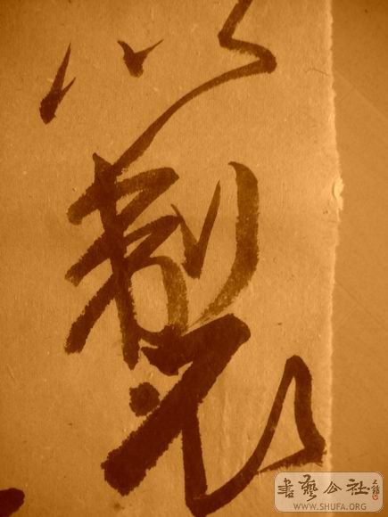 ������С IMG_5021.JPG