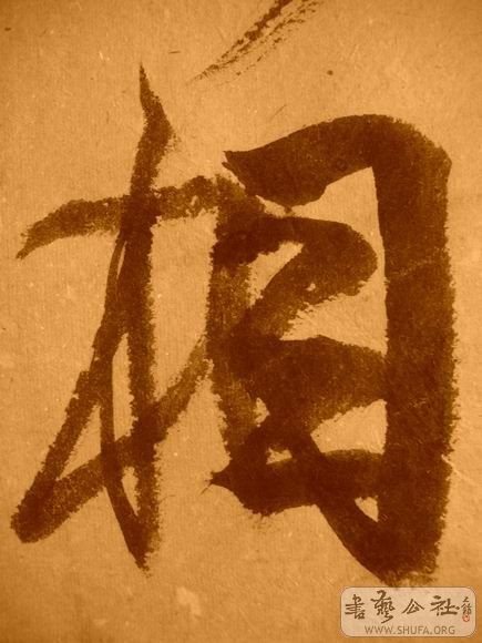 ������С IMG_5069.JPG