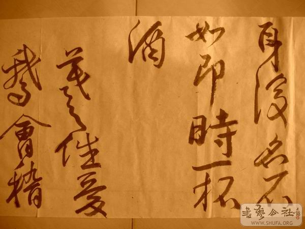 ������С IMG_5074.JPG