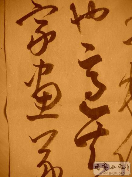 ������С IMG_5058.JPG