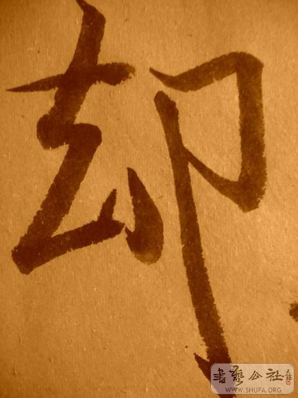 ������С IMG_5037.JPG