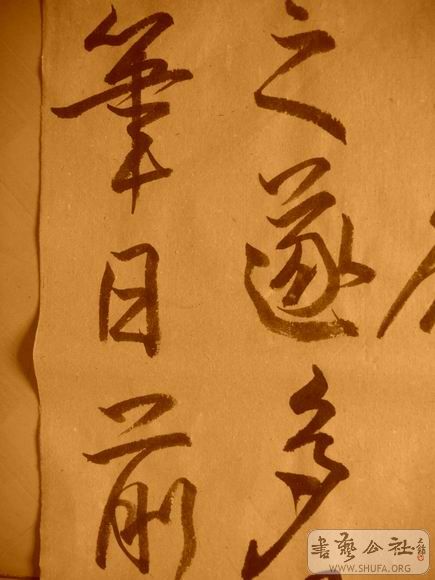 ������С IMG_5033.JPG