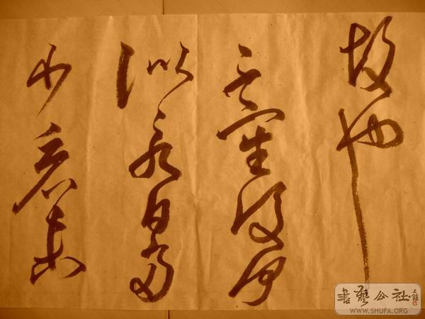 ������С IMG_5082.JPG