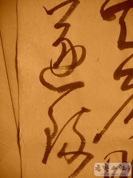 ������С IMG_5068.JPG