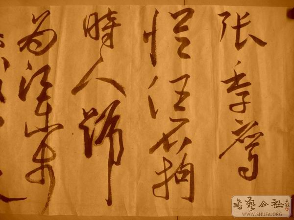 ������С IMG_5071.JPG