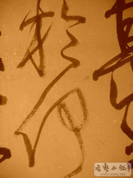 ������С IMG_5064.JPG