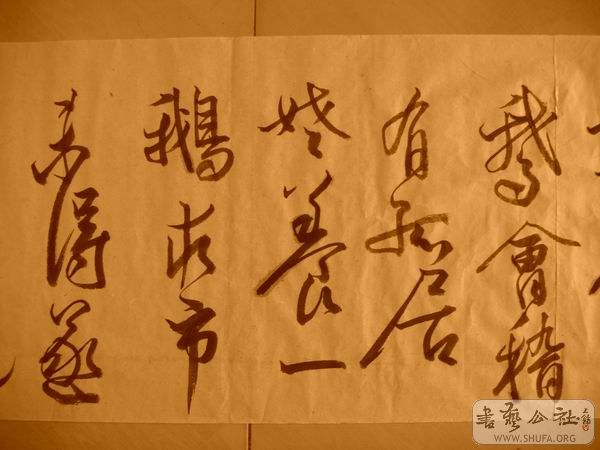 ������С IMG_5075.JPG