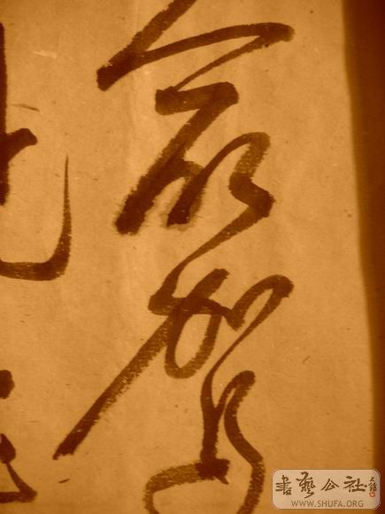 ������С IMG_5129.JPG